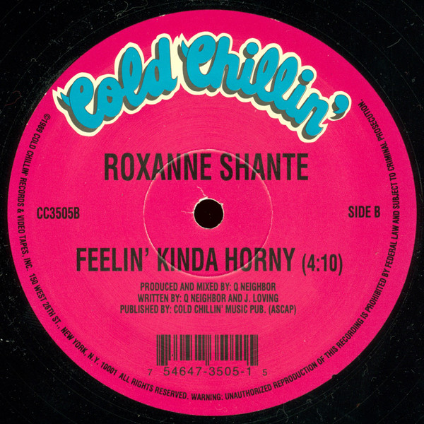 Roxanne Shanté - Have A Nice Day / Feelin' Kinda Horny | Cold Chillin' (CC3505) - 4