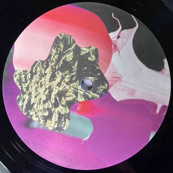 Teebs - Collections | Brainfeeder (BF026) - main Teebs - Collections | Brainfeeder (BF026) - main