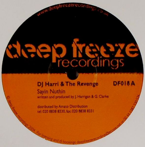 Harri & The Revenge - Sayin Nuthin | Deep Freeze Recordings (DF018)