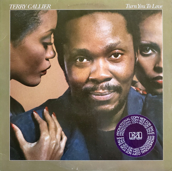 Terry Callier - Turn You To Love | Elektra (6E-189)