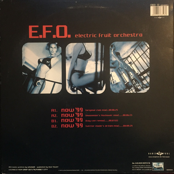 Electric Fruit Orchestra - Now '99 | Dance Pool (DAN 666859 6) - 2 Electric Fruit Orchestra - Now '99 | Dance Pool (DAN 666859 6) - 2