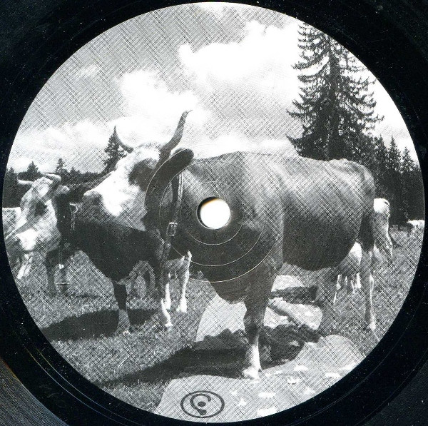 Various - Putin De Merd EP | Mercurochrome (HgCr 001) - 2 Various - Putin De Merd EP | Mercurochrome (HgCr 001) - 2