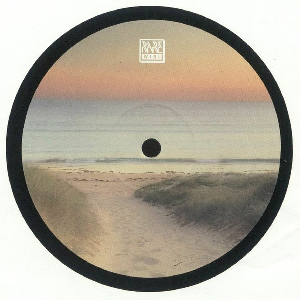 Rayko - Vadillo Vice Vol.2 | Rare Wiri Records (RWWAX015) - 2