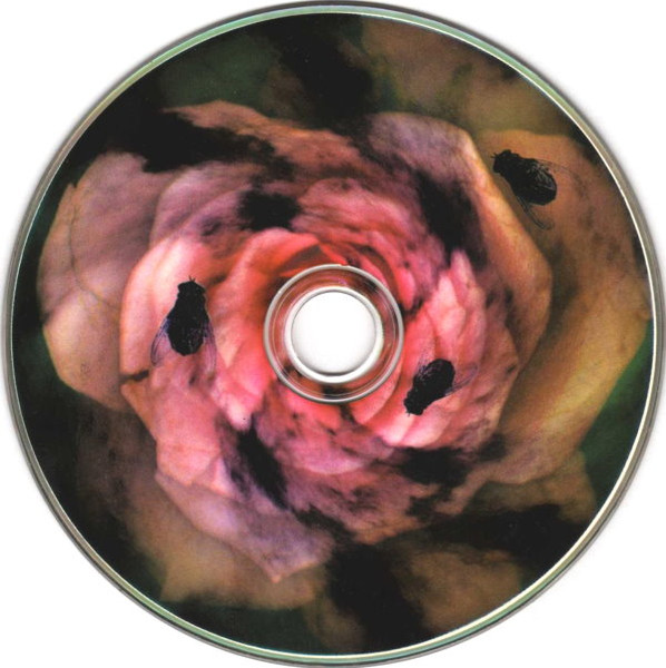 Death In June - Rose Clouds Of Holocaust | New European Recordings (BAD-VCCD38) - 3 Death In June - Rose Clouds Of Holocaust | New European Recordings (BAD-VCCD38) - 3