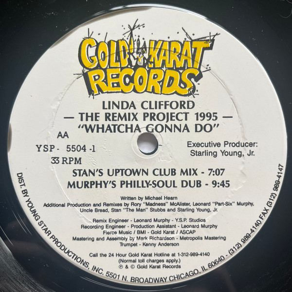 Linda Clifford - Whatcha Gonna Do (The Remix Project 1995) | Gold Karat Records (YSP-5504-1) - 2 Linda Clifford - Whatcha Gonna Do (The Remix Project 1995) | Gold Karat Records (YSP-5504-1) - 2