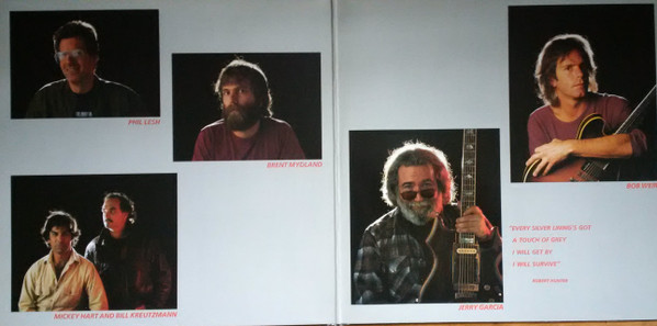 The Grateful Dead - In The Dark | Arista (208 564) - 2 The Grateful Dead - In The Dark | Arista (208 564) - 2