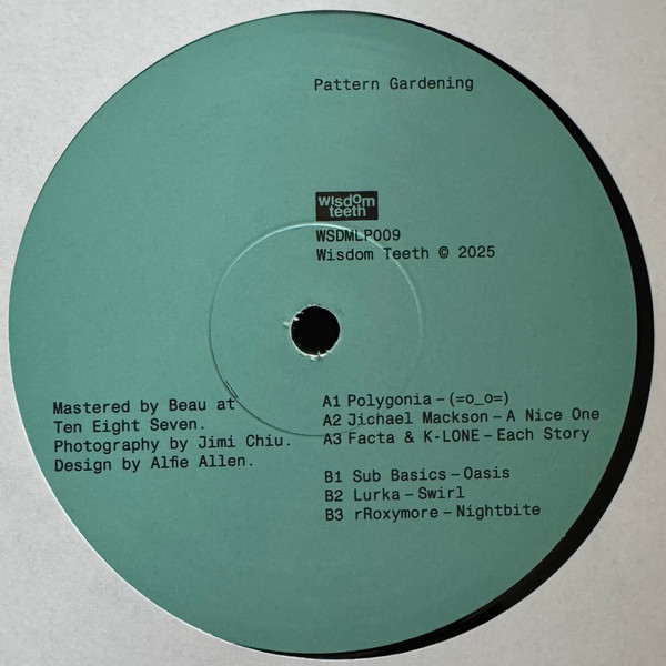 Various - Pattern Gardening | Wisdom Teeth (WSDMLP009) - main Various - Pattern Gardening | Wisdom Teeth (WSDMLP009) - main