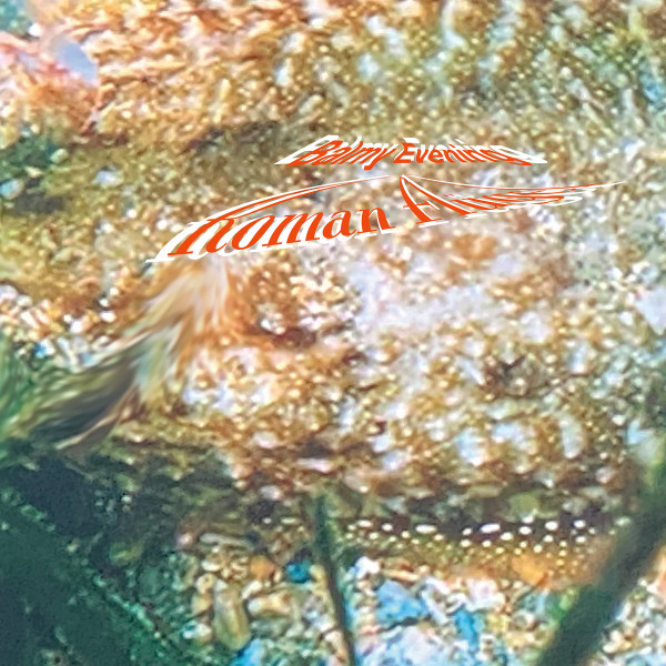 Roman Flügel - Balmy Evening | Mule Musiq (Mule Musiq 283) - main Roman Flügel - Balmy Evening | Mule Musiq (Mule Musiq 283) - main