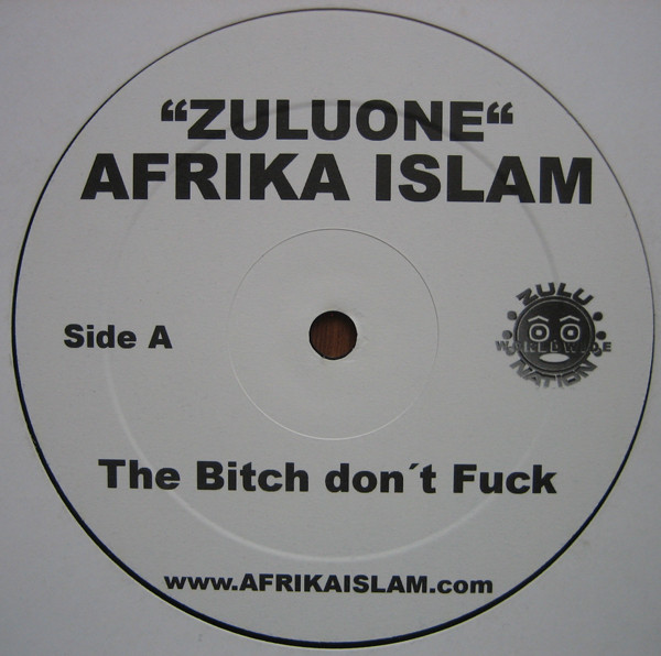 Afrika Islam - The Bitch Don't Fuck / Just For The Club | Not On Label (none)