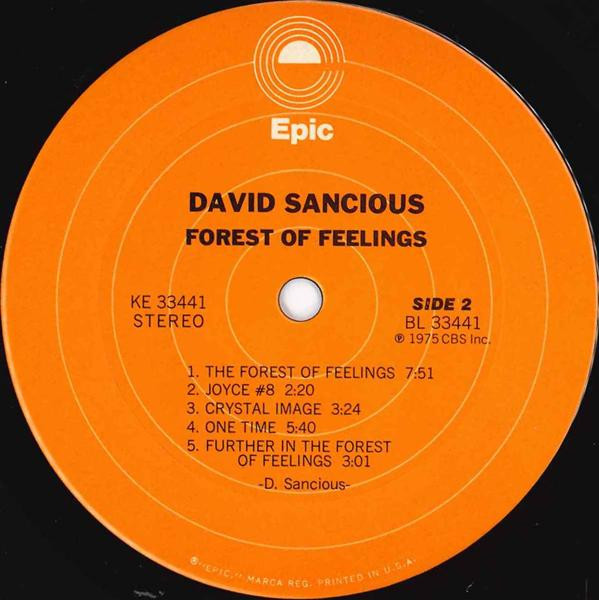 David Sancious - Forest Of Feelings | Epic (KE 33441) - 4 David Sancious - Forest Of Feelings | Epic (KE 33441) - 4