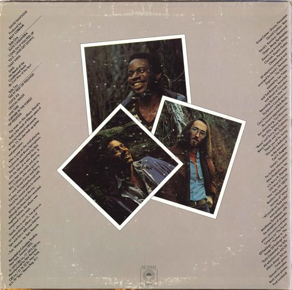 David Sancious - Forest Of Feelings | Epic (KE 33441) - 2 David Sancious - Forest Of Feelings | Epic (KE 33441) - 2