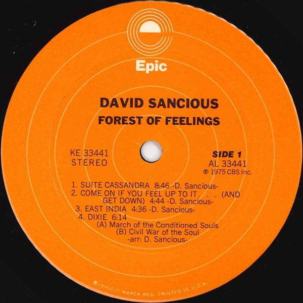 David Sancious - Forest Of Feelings | Epic (KE 33441) - 3 David Sancious - Forest Of Feelings | Epic (KE 33441) - 3
