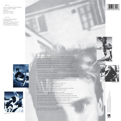 Sting - The Dream Of The Blue Turtles LP | A&M Records (0082839375016) - 3 Sting - The Dream Of The Blue Turtles LP | A&M Records (0082839375016) - 3