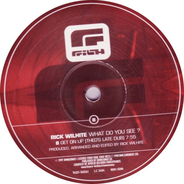 Rick Wilhite - What Do You See? | Filth Records (74321 54526 1) - 4