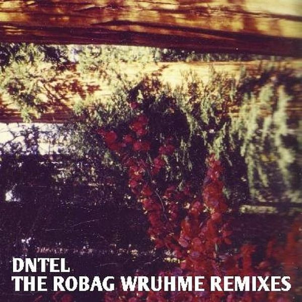 Dntel - The Robag Wruhme Remixes | Pampa Records (PAMPA 010)