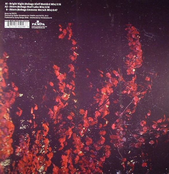 Dntel - The Robag Wruhme Remixes | Pampa Records (PAMPA 010) - 2