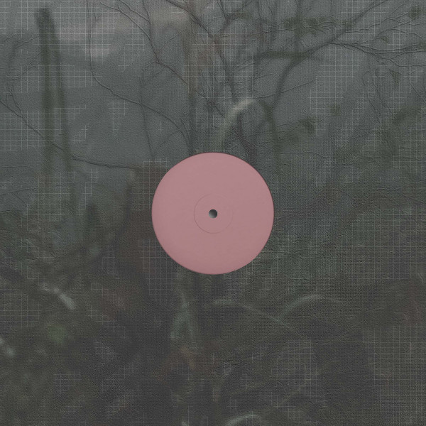 Alien D - For the Early Hours of a World in Bloom | Theory Therapy (TT010) - main