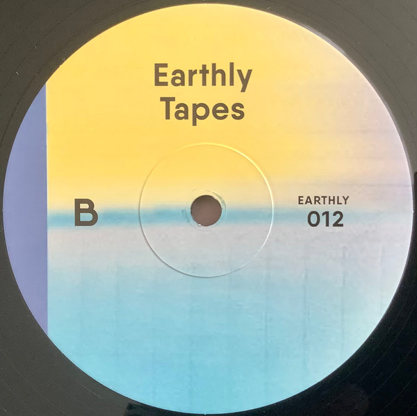 Various - Earthly Tapes 03 | Earthly Measures Local Global Recordings (EARTHLY012) - 4