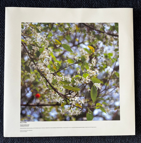 Mallu Magalhães - Pitanga | Gran Gran Records (QQ002-1) - 4