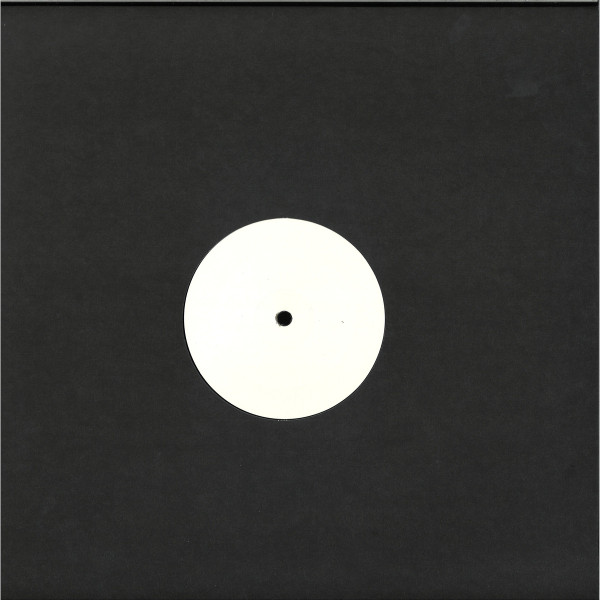 Donato Dozzy / Eric Cloutier - Palinoia LTD 001 | Palinoia (PALINOIALTD001) - 2