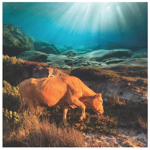 Paul Cut - LF11D EP | D.KO Records (D.KO32) - main