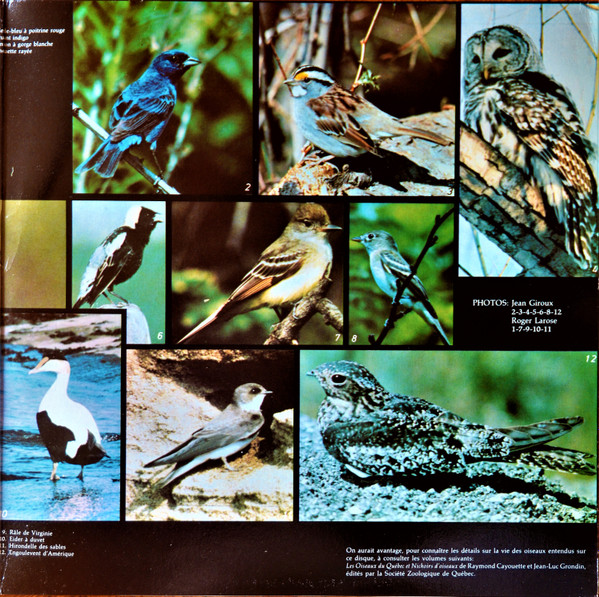 Pierre Morency - Une Journée Chez Les Oiseaux | Chouette (ZOO-2) - 3 Pierre Morency - Une Journée Chez Les Oiseaux | Chouette (ZOO-2) - 3