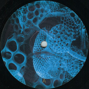 Oliver Ho & James Ruskin - Mutate And Survive | Meta (meta 10) - 2