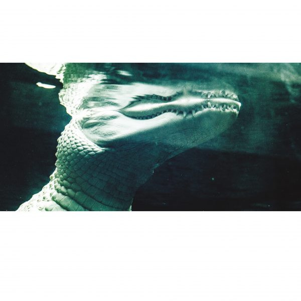 Ancient Methods - The Asking Breath Comes To Each | Candela Rising (CAN008) Ancient Methods - The Asking Breath Comes To Each | Candela Rising (CAN008)