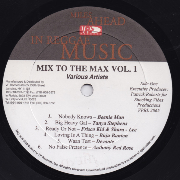 Various - Mix To The Max Volume 1 | VP Records (VPRL 2065) - 2 Various - Mix To The Max Volume 1 | VP Records (VPRL 2065) - 2