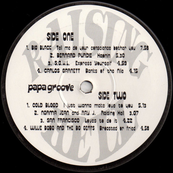 Various - Papa Groove Presents Raising Hell | Not On Label (none) - 2