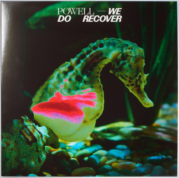 Powell - We Do Recover | Diagonal (DIAG070)