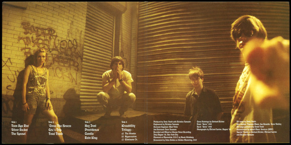 Sonic Youth - Daydream Nation | Goofin' Records (goo-017) - 3