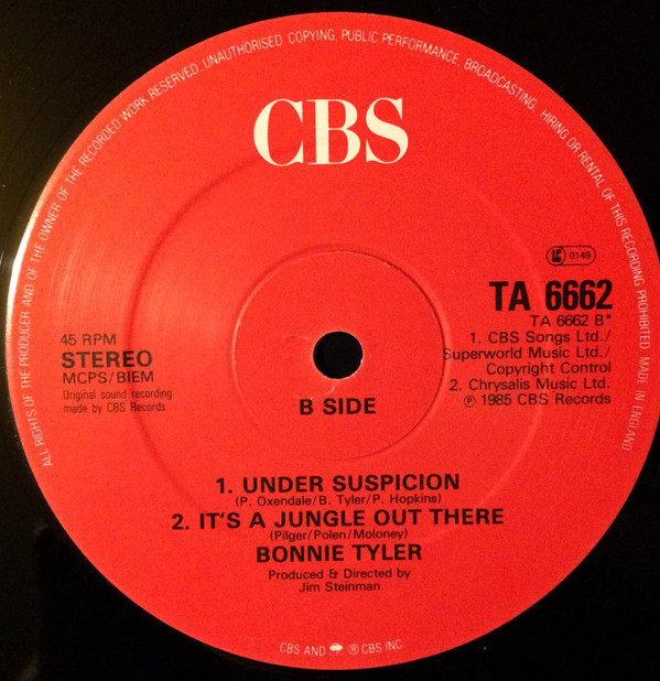 Bonnie Tyler Duet With Todd Rundgren - Loving You's A Dirty Job But Somebody's Gotta Do It | CBS (TA 6662)