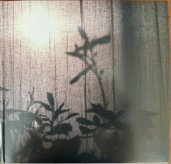 Beirut - A Study Of Losses | Pompeii Records (POMP012) - 4 Beirut - A Study Of Losses | Pompeii Records (POMP012) - 4