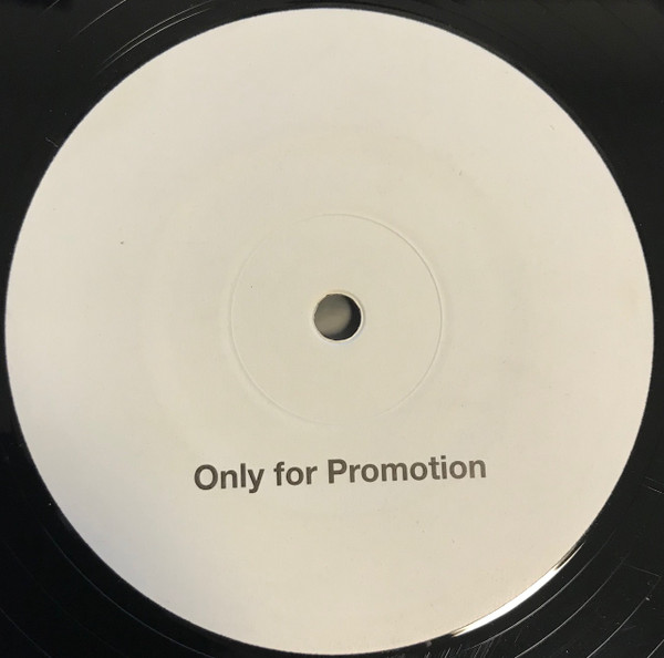 Elegant Universe - Discognito | Flow Vinyl (FV009) - main