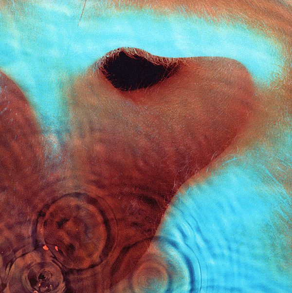 Pink Floyd - Meddle | Pink Floyd Records (PFRLP6)