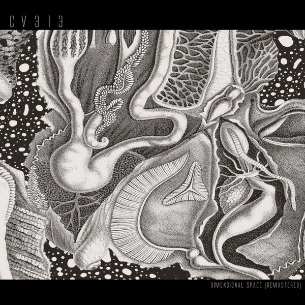 cv313 - Dimensional Space (Remastered) | echospace [detroit] (CV313LP) - main