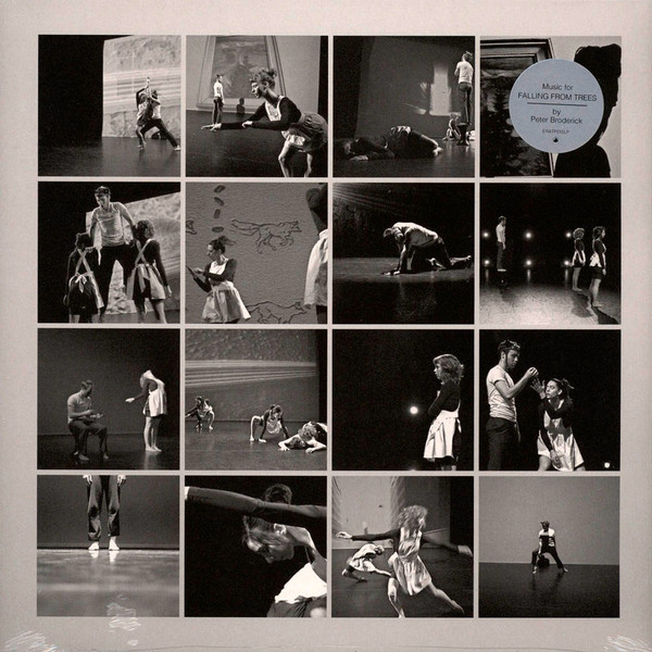 Peter Broderick - Music For Falling From Trees | Erased Tapes Records (ERATP15LP) - 2