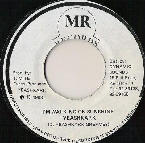 Yeashkark - I'm Walking On Sunshine | MR Records (none)