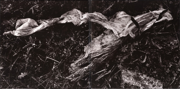 David Sylvian , Holger Czukay - Plight & Premonition / Flux & Mutability | Grönland Records (LPGRON193) - 2 David Sylvian , Holger Czukay - Plight & Premonition / Flux & Mutability | Grönland Records (LPGRON193) - 2