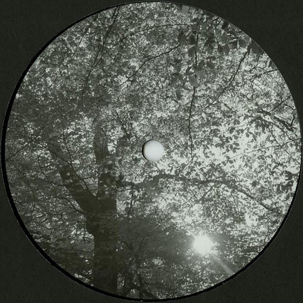Resoe / Zoltan Solomon - Baum Limited Picture Edition 003 | Baum Limited Picture Edition (baumLPE003) - 2