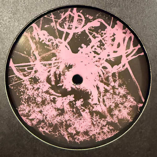 SY - Metamorphosis EP | Physical Education (PE021) - 2 SY - Metamorphosis EP | Physical Education (PE021) - 2