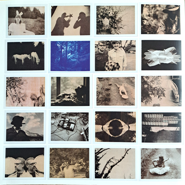The Decemberists - The King Is Dead | Rough Trade (RTRADLP656) - 2
