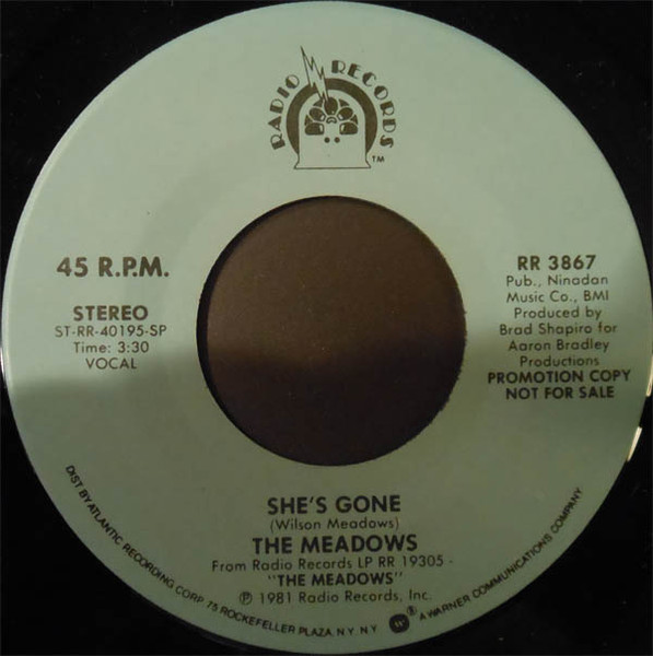 The Meadows - She's Gone | Radio Records (RR 3867) - main