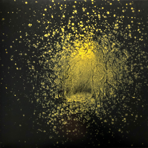 The Antlers - Burst Apart | Frenchkiss Records (FKR048-1) - main The Antlers - Burst Apart | Frenchkiss Records (FKR048-1) - main