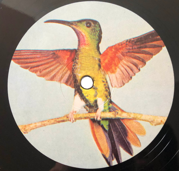 Orphan Fairytale - My Favourite Fairytale | Aguirre Records (ZORN 10) - 3