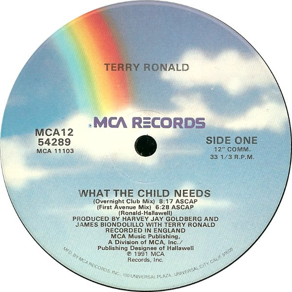 Terry Ronald - What The Child Needs | MCA Records (MCA12 54289)