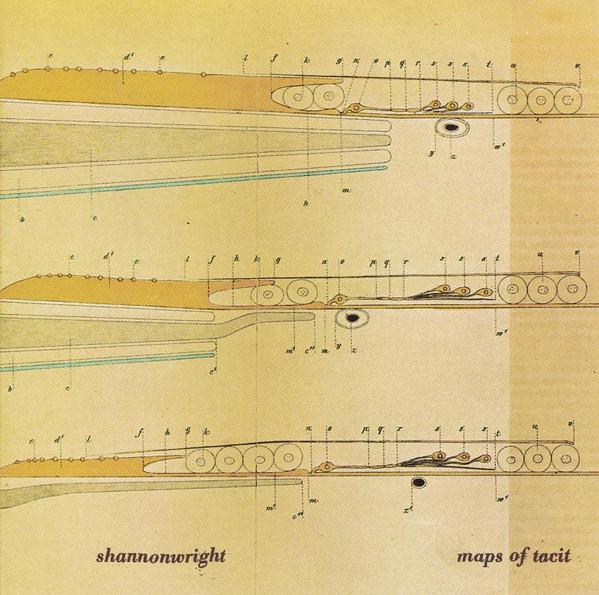 Shannon Wright - Maps Of Tacit | Quarterstick Records (qs68cd)