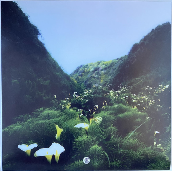 Angela Munoz - Descanso | Stones Throw Records (STH2494) - 3 Angela Munoz - Descanso | Stones Throw Records (STH2494) - 3