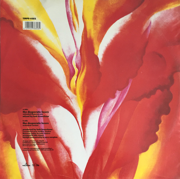 Marc Almond - The Desperate Hours - Extended Flamenco Mix | Parlophone (12RPD 6252) - 4